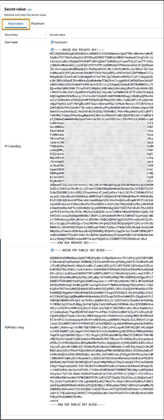 Figure 15: The following screenshot shows how the example secret should look after pasting in your values