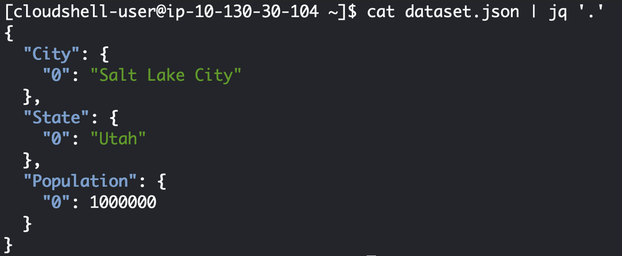 Figure 26: The following screenshot shows how your example dataset.json file should look
