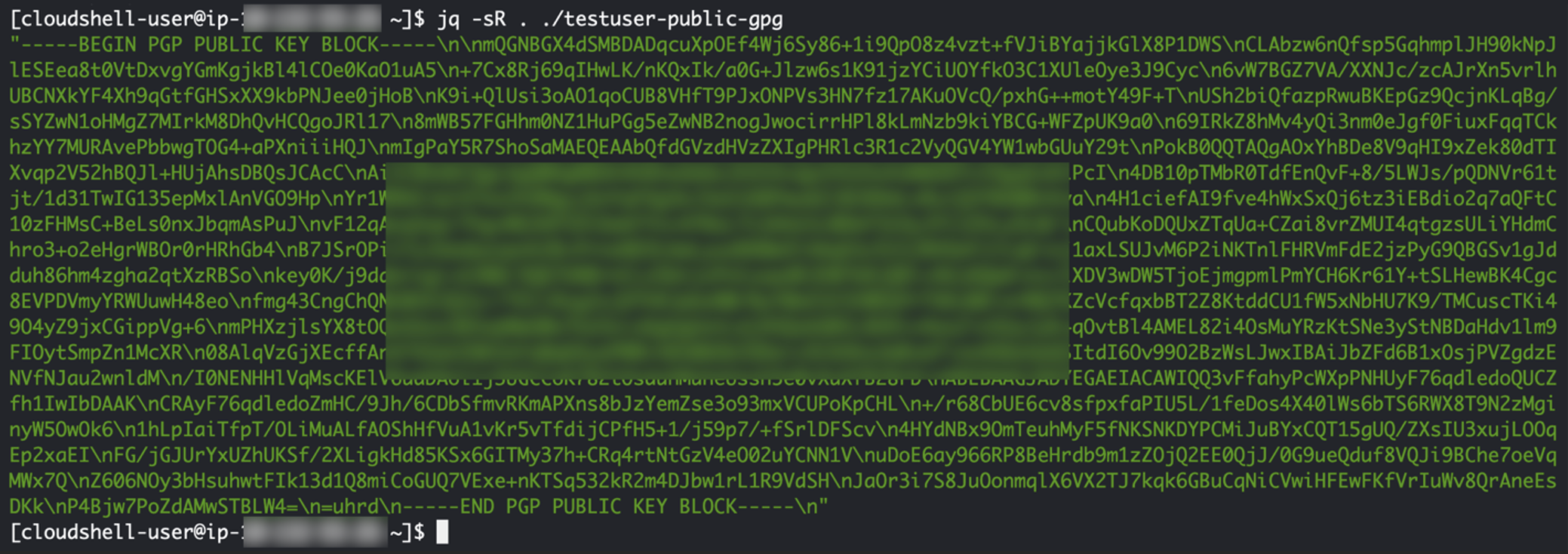 Figure 9: The following screenshot shows the PGP public key in the correct format