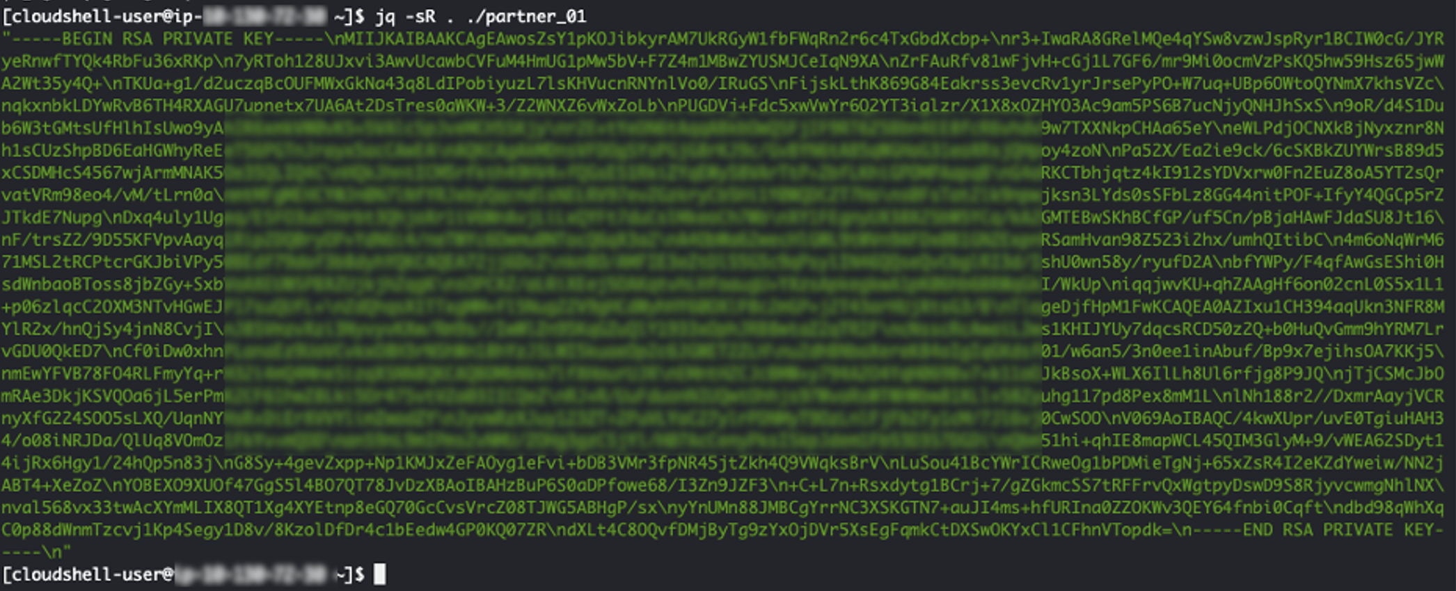 Figure 10: The following screenshot shows the SSH private key in the correct format