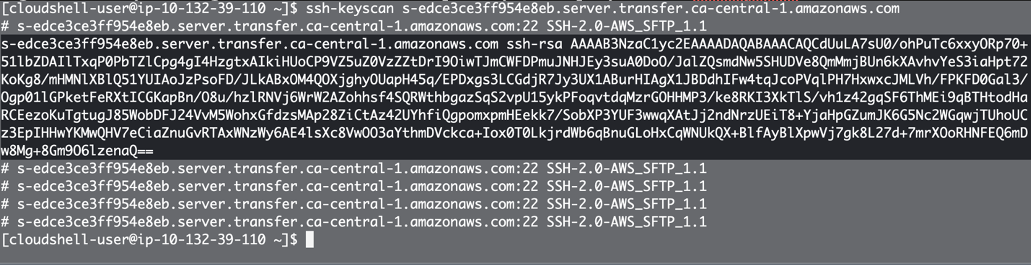 Figure 17: The following screenshot shows which parts of the output from the ssh-keyscan command to select
