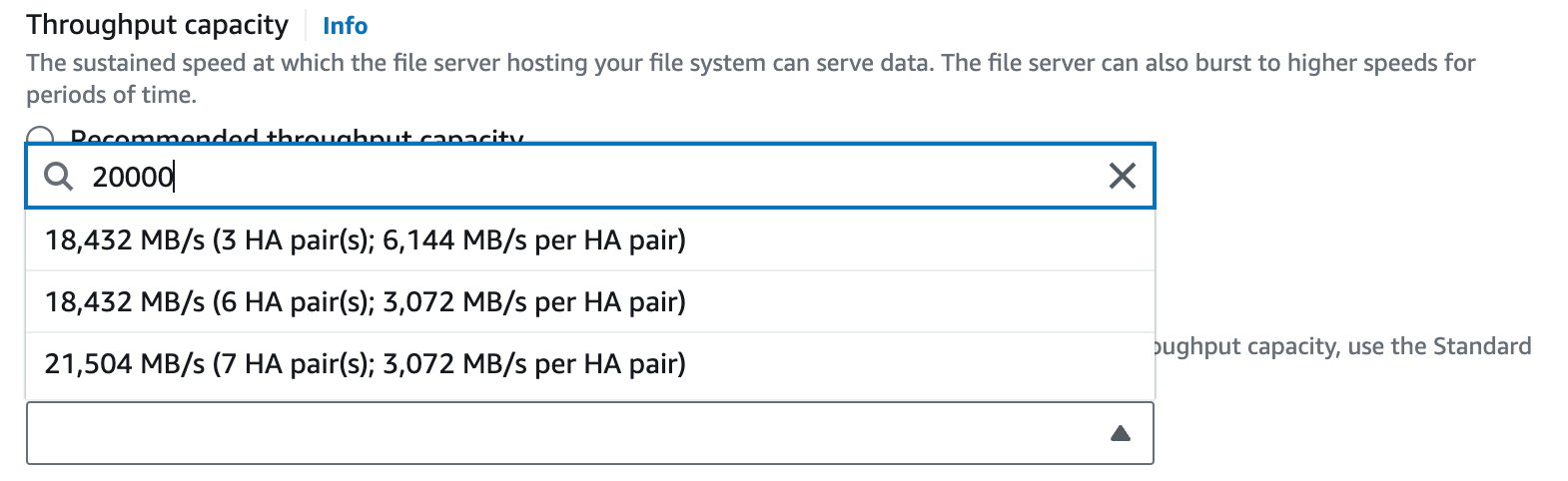Throughput capacity