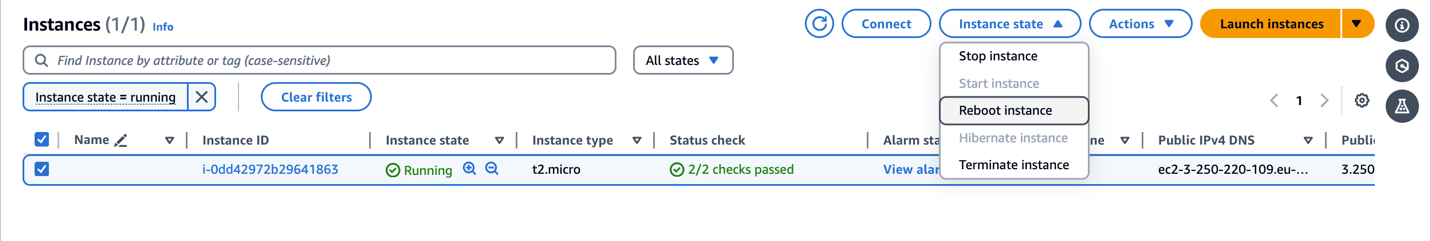 Figure 2.10 Rebooting newly created instance