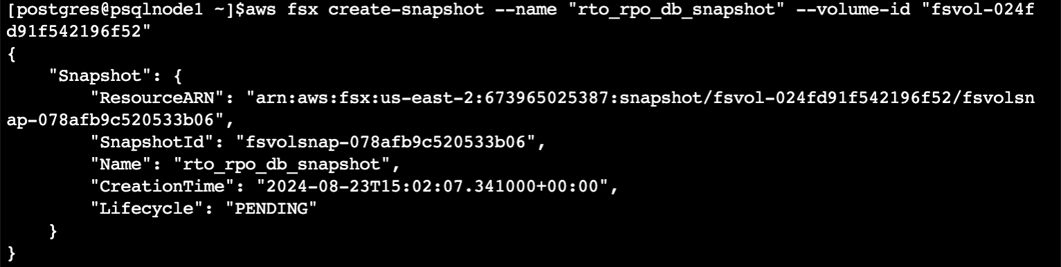 Figure 10: FSx for OpenZFS snapshot creation