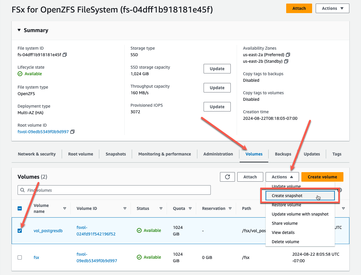Figure 18: FSx for OpenZFS Volumes tab