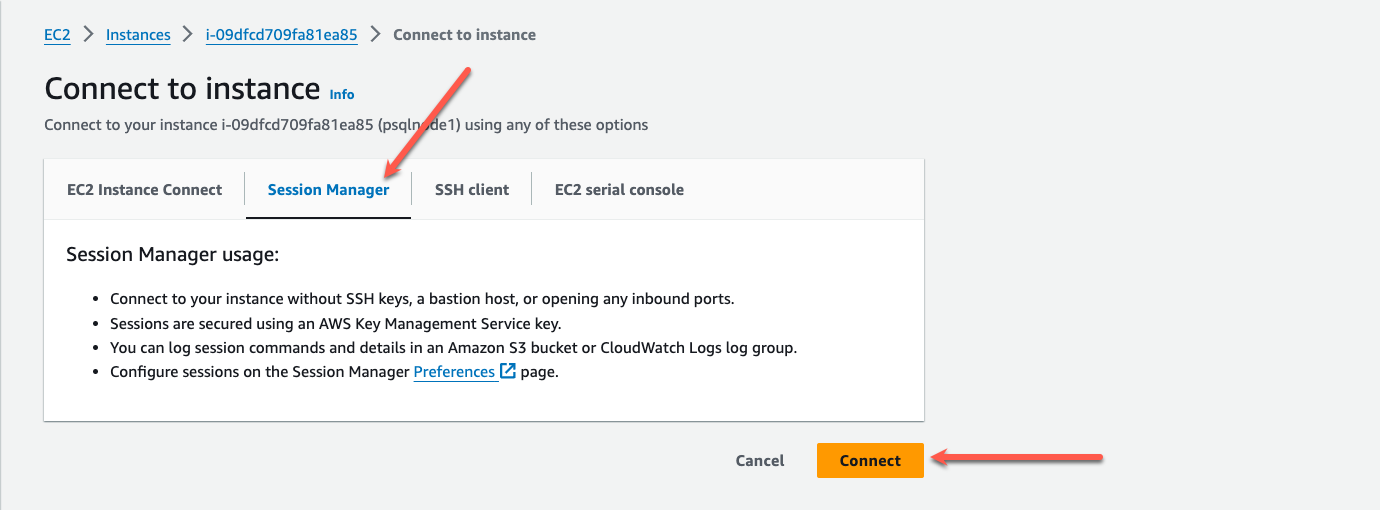 Figure 3: Session Manager connect