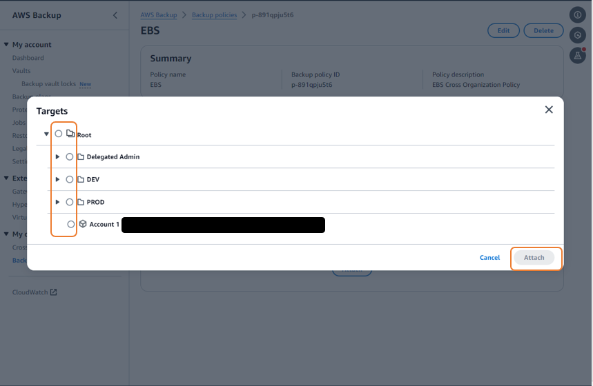 Figure 1.5: Choose the Individual accounts or OUs to be protected by this backup policy