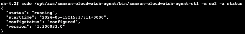 Figure 3 CloudWatch agent is running and configured