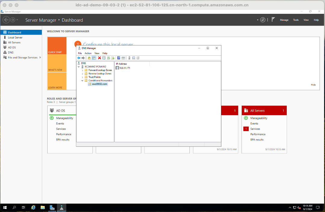 Figure 3: Configuration of conditional forwarders in the IDC environment