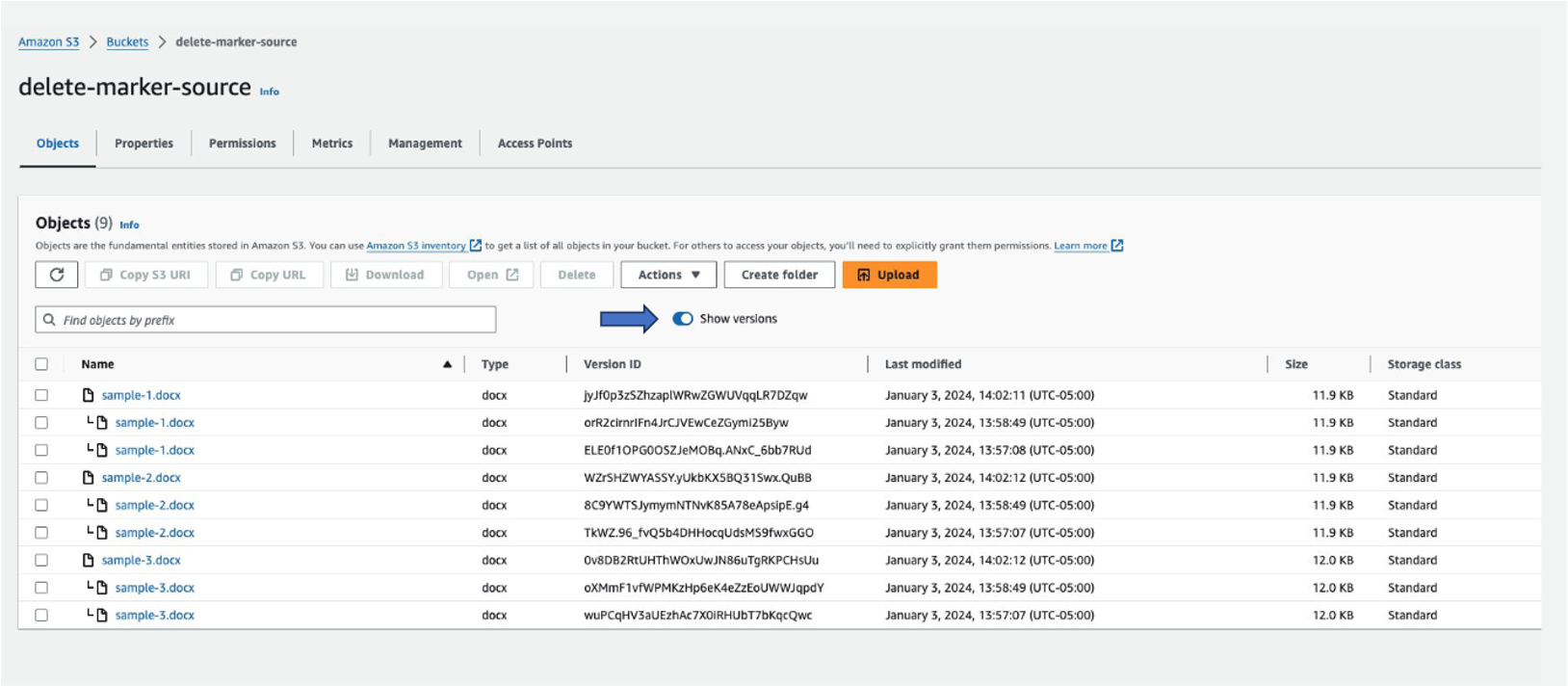 Figure 5.1- Source bucket with list of objects and their versions