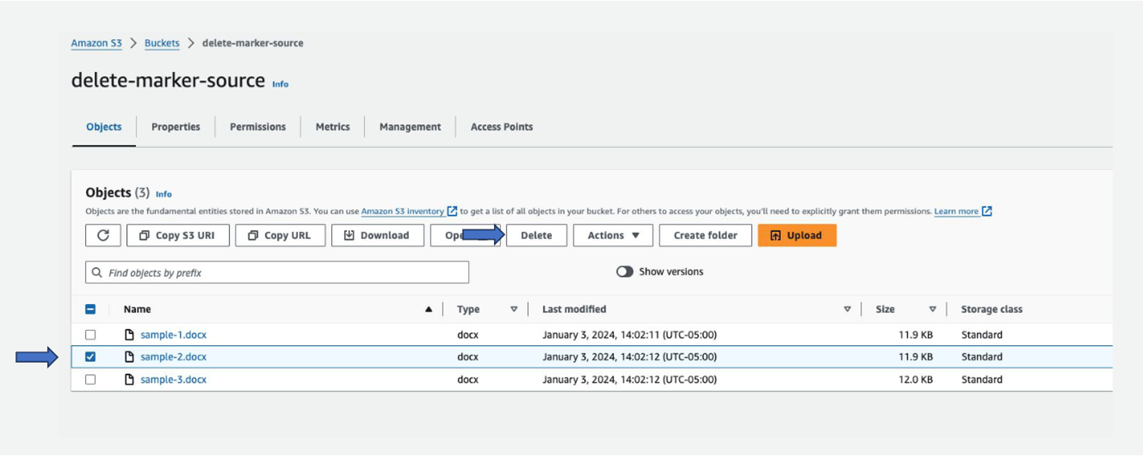 Figure 5.2- Deleting one of the object current version