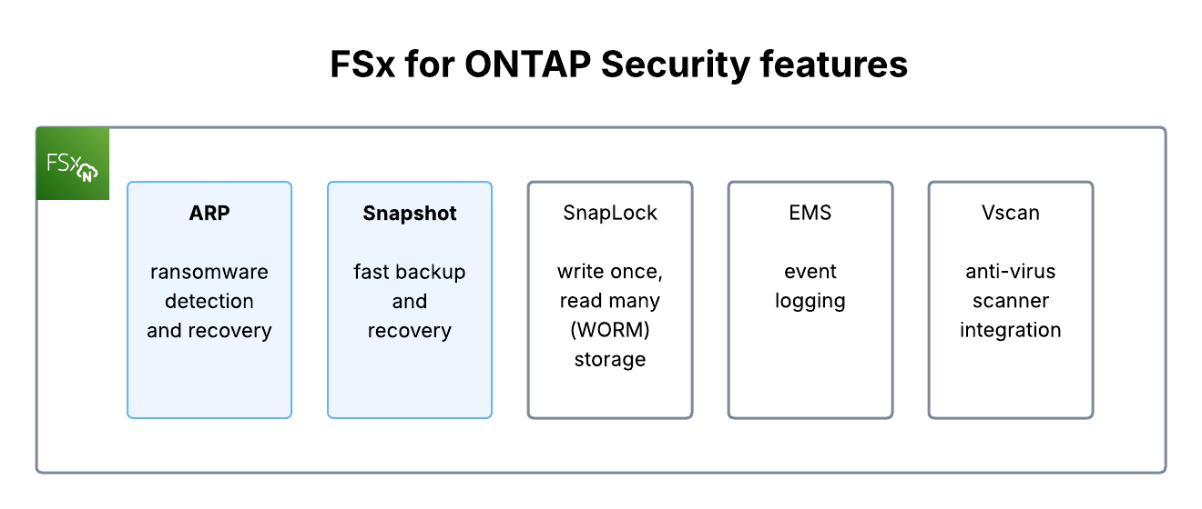 FSx for ONTAP Security Features
