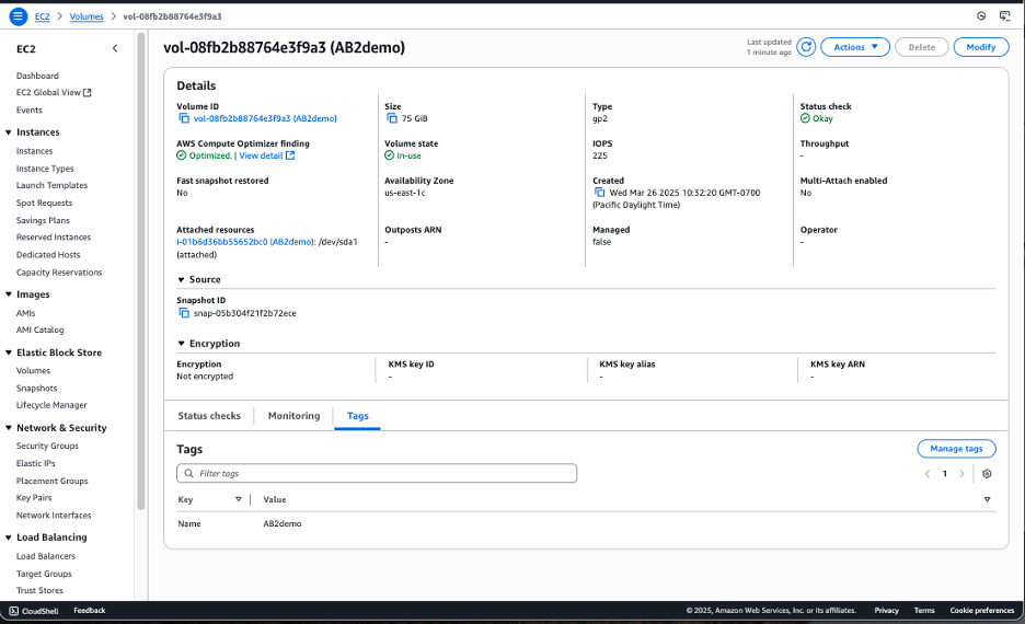 screenshot of adding tag to ebs volume