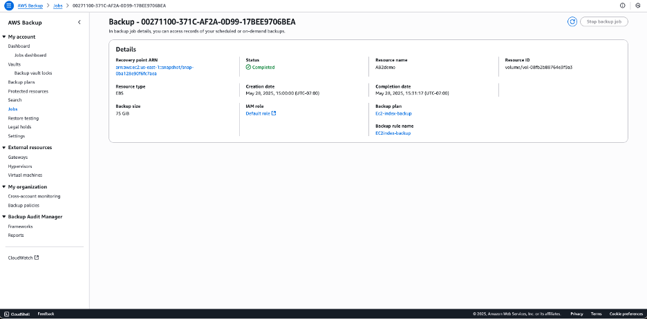 an aws backup job description screen