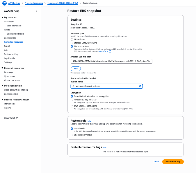 Selections in the “Restore EBS Snapshot” page