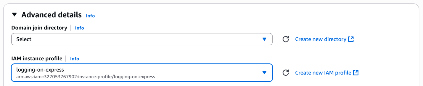 Advances details section while launching EC2 instance, with an IAM instance profile selected.