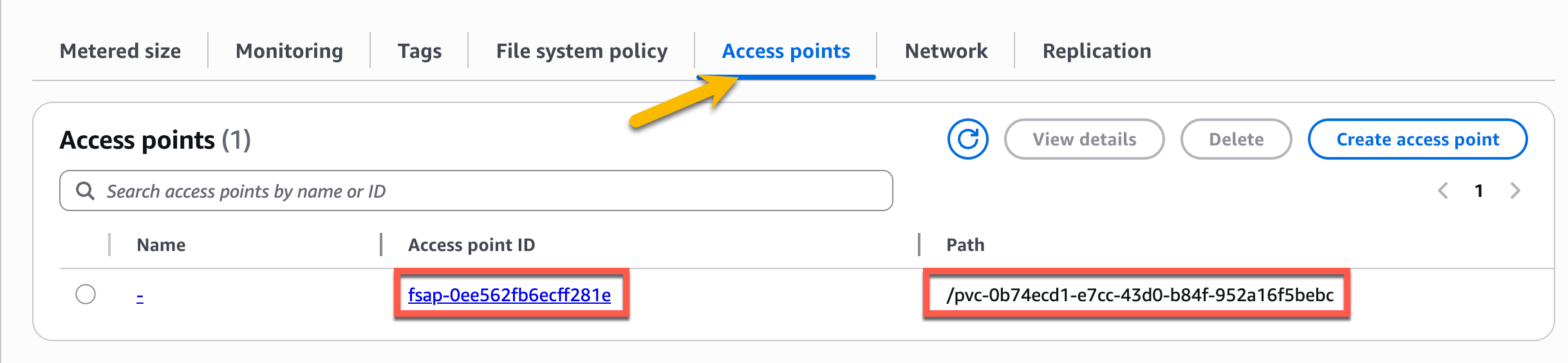 Figure 19: EFS Access Points