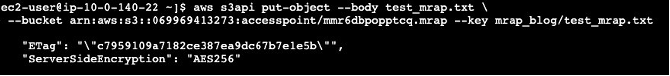 Results of s3api put_object command