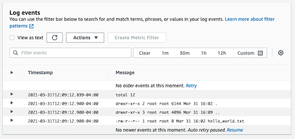 The result of listing the directory, which has one file called hello_world.txt