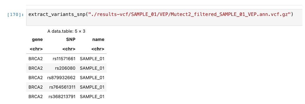 Figure 3: Cleaning up the VCF files to extract SNPs for genes of interest can be performed in SageMaker. We can obtain a table of all genes of interest, SNPs, and the sample ID the genes are extracted from.
