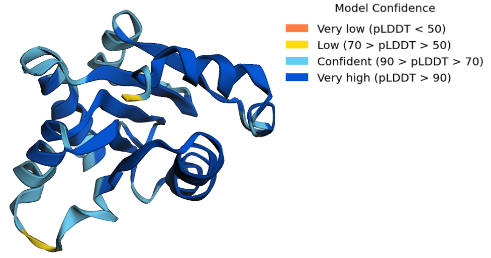 Figure 2 – Ribbon diagram of the three-dimensional structure of 7FCC, an IL-1 binding domain. The colors indicate the per-residue confidence score assigned by the model, as measured by the predicted Local Distance Difference Test (pLDDT).