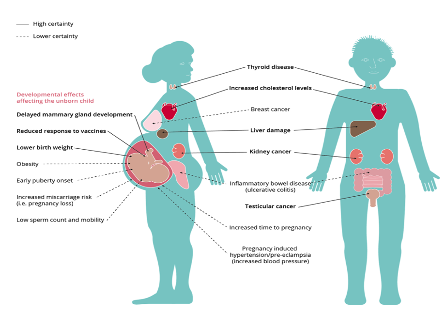 Figure 2 Negative effects of exposure to PFAS on human health (http://www.eea.europa.eu/publications/emerging-chemical-risks-in-europe).