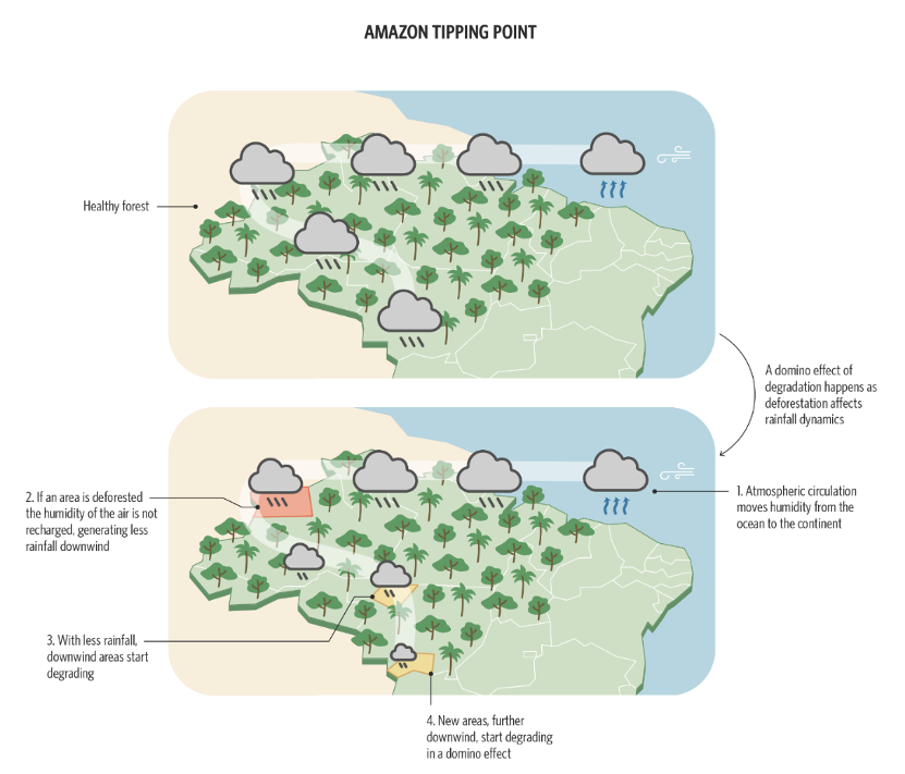 Figure 1. Complex Adaptive systems, like the Amazon Rainforest, can be affected by tipping points, which if reached can cause domino effect of degradation for the whole forest. 