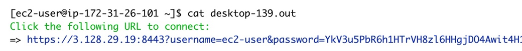 Figure 3 - The file desktop-[job-id].out contains the connection details you need to connect to the virtual desktop.