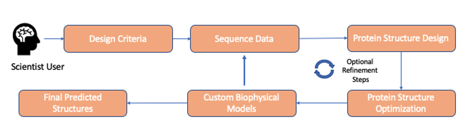 Figure 3: An overview of the steps used in the Evolvere Biosciences Macromolecule Design Pipeline