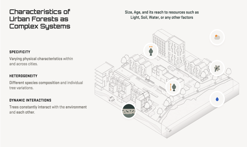 Figure 2 - Characteristics of Urban Forests Complex Systems consider specificity, heterogeneity and dynamic interaction between trees and their environment