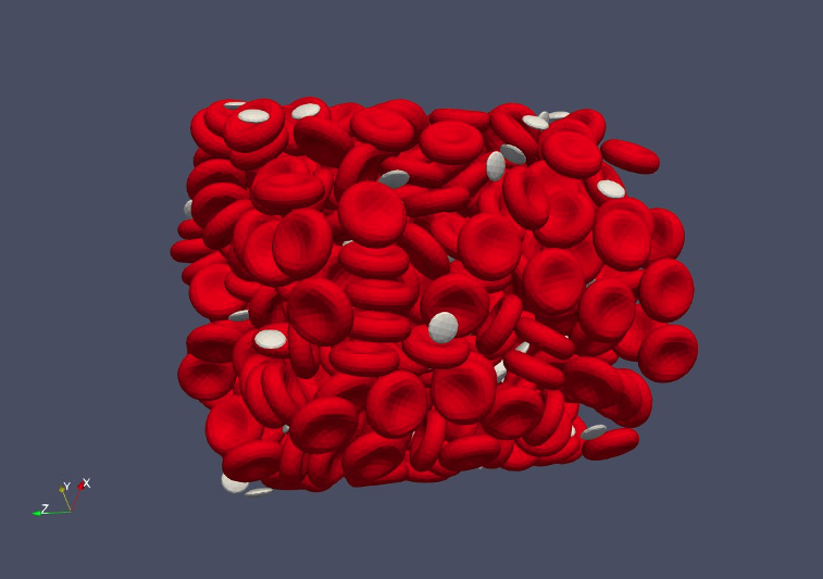 Figure 4. Hybrid simulation of blood plasma (Palabos) and deformable RBCs/PLTs (npFEM).