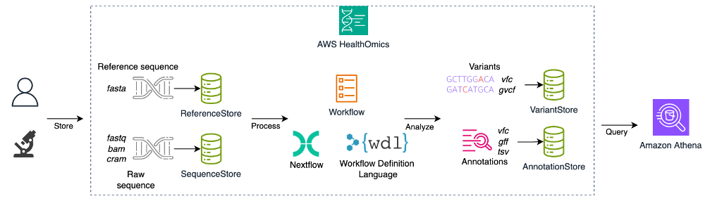 Figure 6 – AWS HealthOmics platform structure highlighting genomic data processing and analysis capabilities. Raw sequence and reference data can be processed through Nextflow or WDL workflows and then analyzed via AWS analytics services such as Amazon Athena.