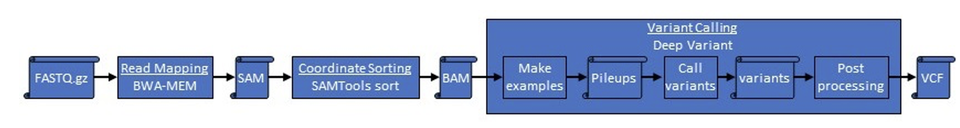 Figure 4: The DeepVariant based fq2vcf pipeline.
