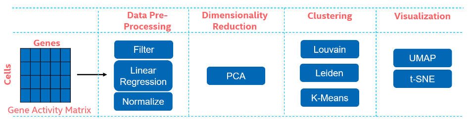 Figure 6: Pipeline showing the steps in analysis of single-cell RNA sequencing data starting from gene activity matrix to visualization of different cell clusters.