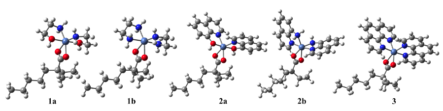 Figure 3. Ni complexes in this study.