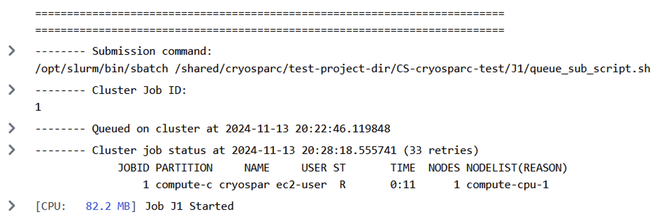 Figure 6: Successful CryoSPARC job submission.