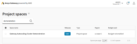 Figure 2b: Ansys Gateway project spaces landing page. A project space titled “Gateway Autoscaling Cluster Demonstration” is shown.