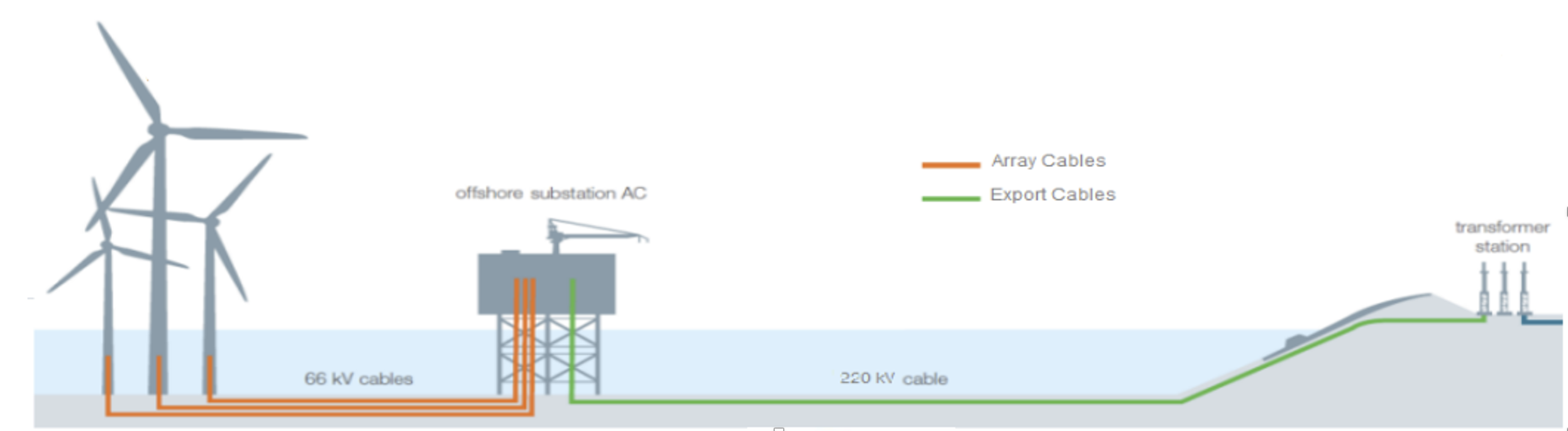 Figure 1 The diagram shows offshore wind turbines connected to an offshore substation via orange "Array Cables" (66 kV), with electricity then transmitted to shore through a green "Export Cable" (220 kV) to a transformer station. This illustration demonstrates how wind-generated electricity is collected, voltage-converted at sea, and efficiently transmitted to land for distribution.