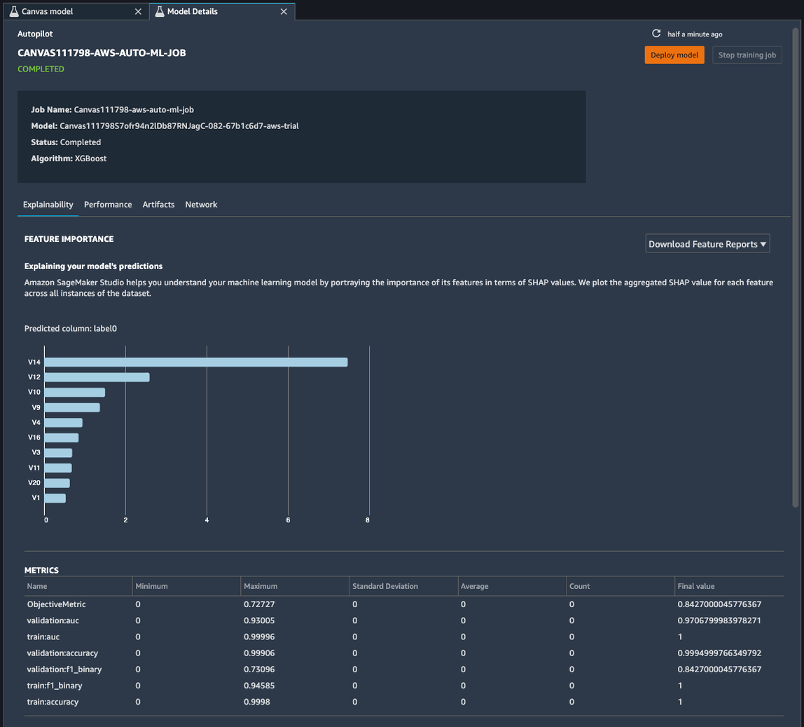 包含功能重要性和指标的模型详细信息