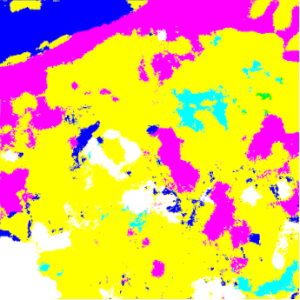 Land Cover Segmentation 2