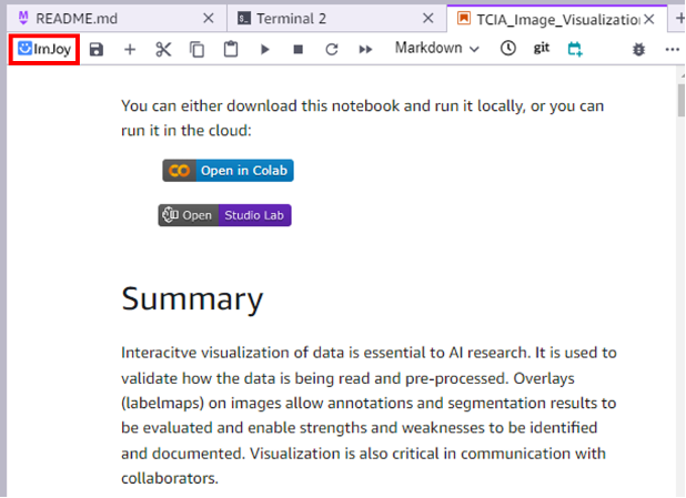 imjoy extension icon on notebook