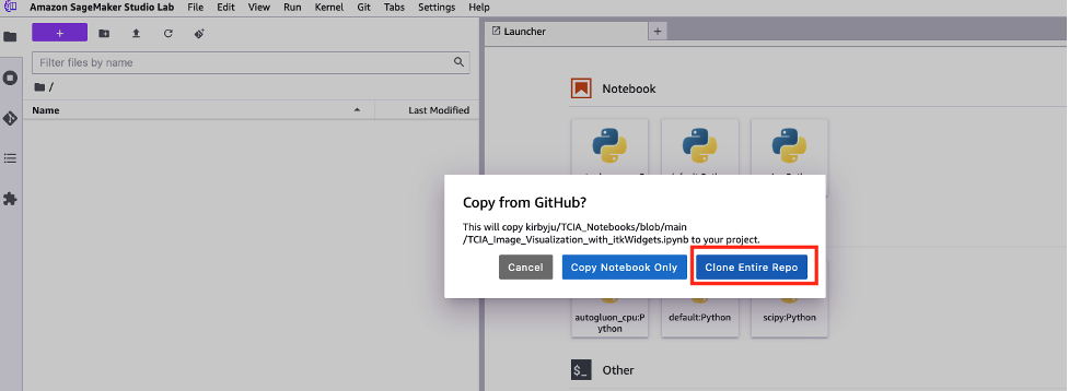 clone entire repo to studio lab