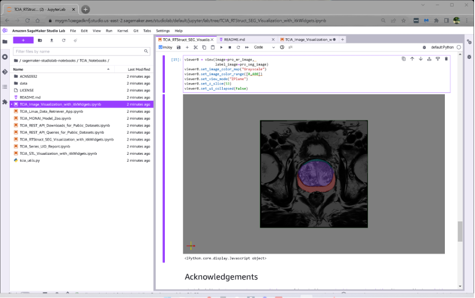 second sample notebook