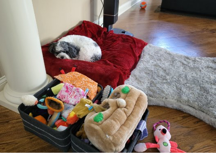 A dog sleeps on a red blanket on a hardwood floor, next to an open suitcase filled with toys.. A dog sleeps on a red blanket on a hardwood floor, next to an open suitcase filled with toys..
