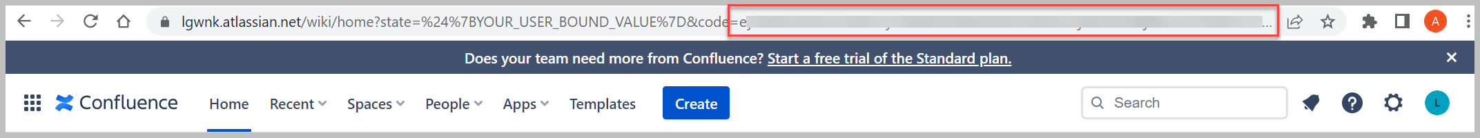 copy authorization code