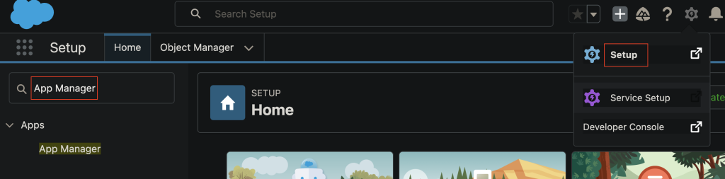 Search for App Manager