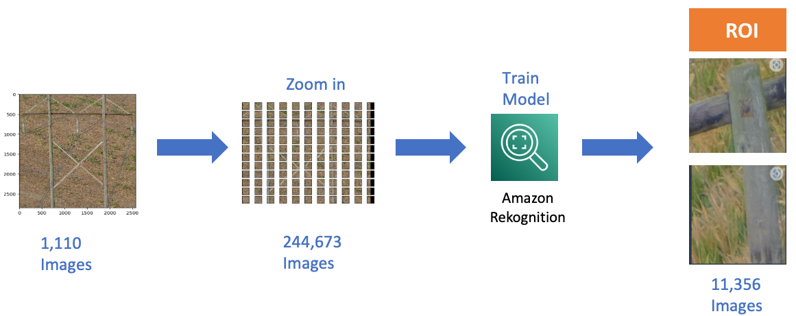 Identification of region of interest