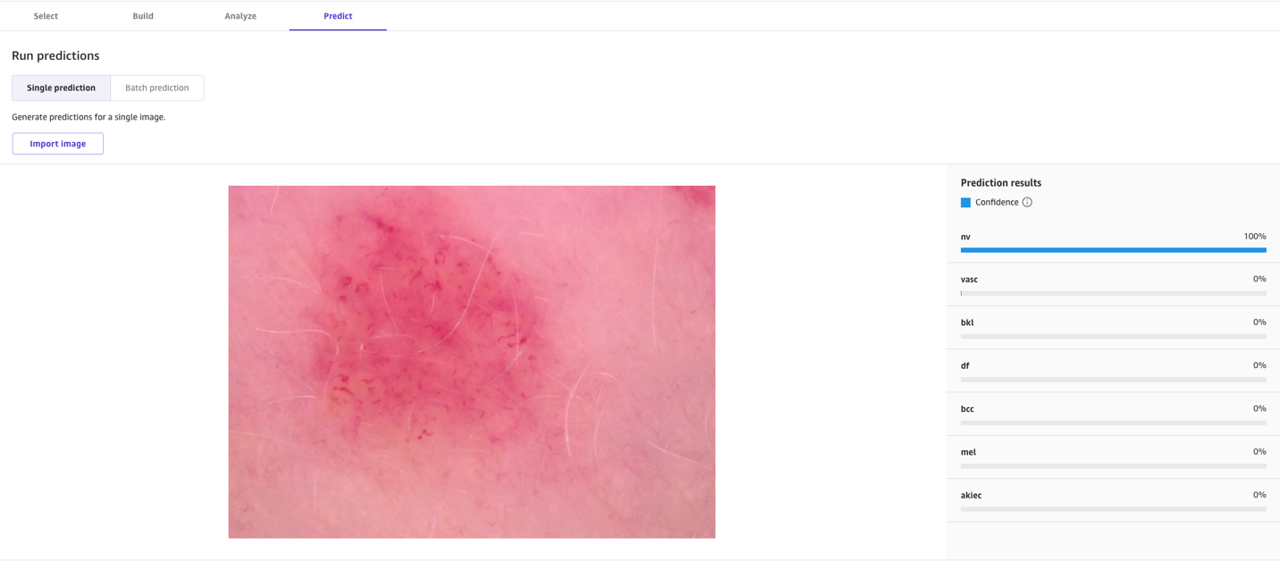 Single Image prediction results