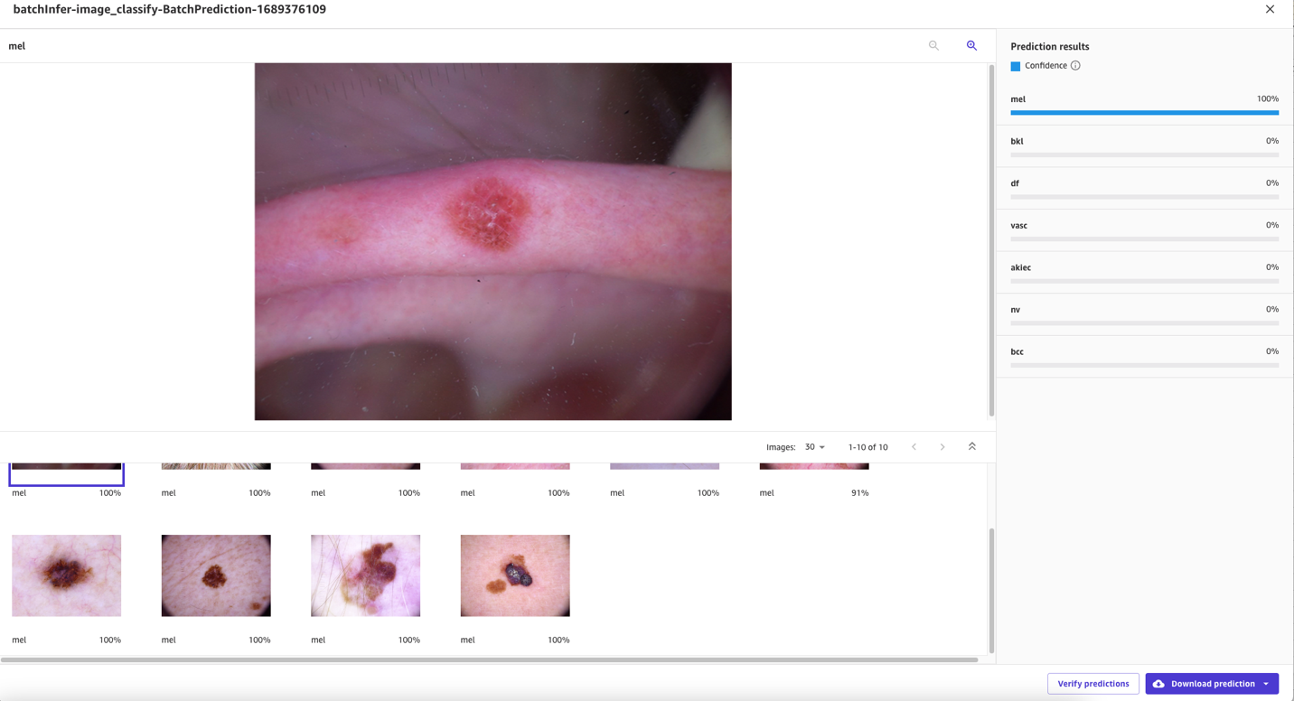 Bacth prediction results