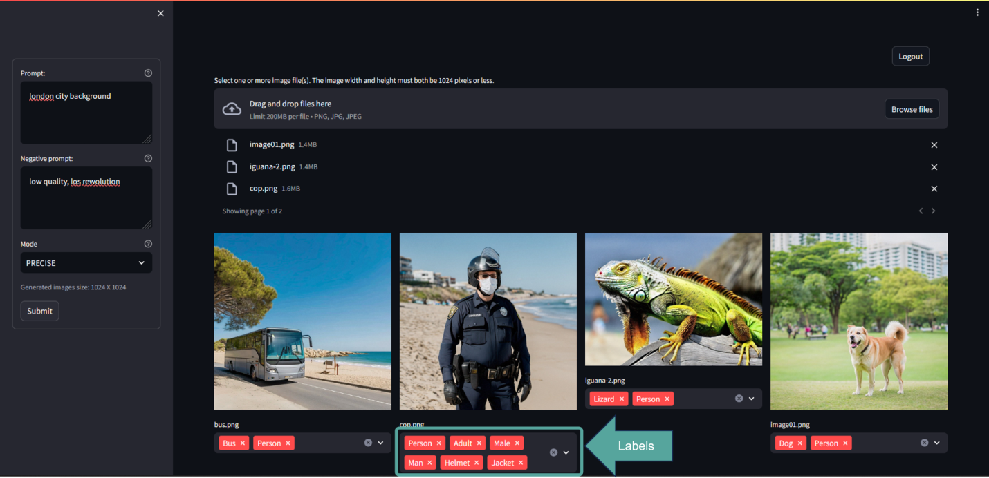 Streamlit Web Application